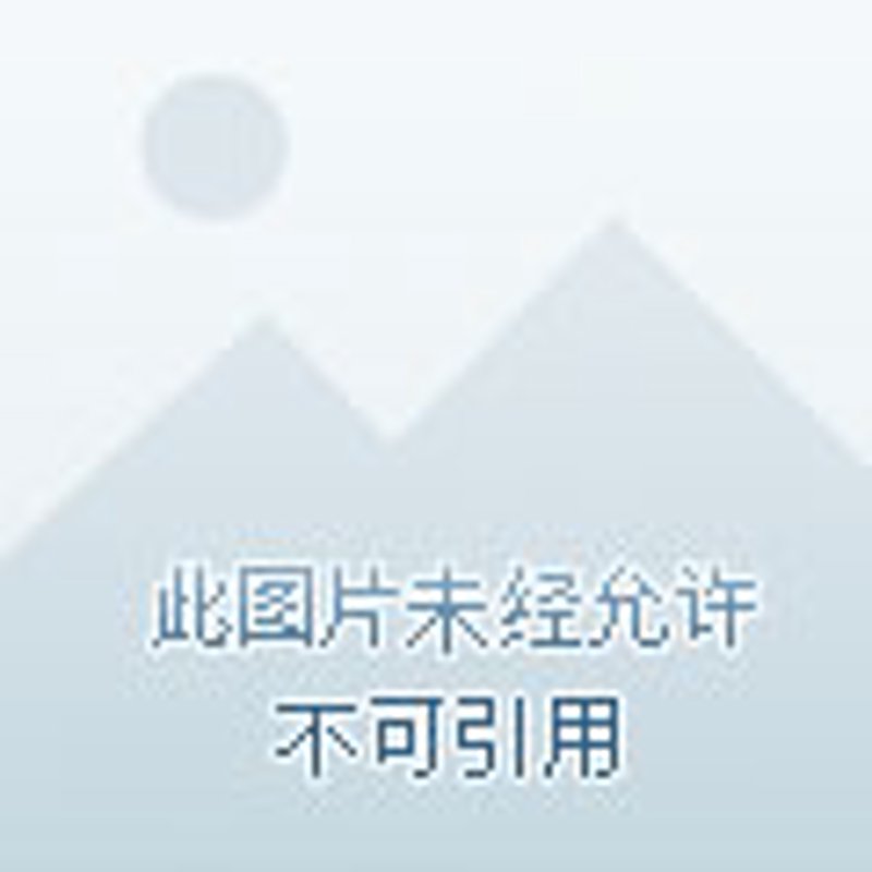 多功能透视：洞悉商业世界的多面镜像